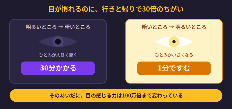 暗いところに目が慣れるまでは30分かかるのに、明るいところに慣れるのは1分ですむことをあらわした図
